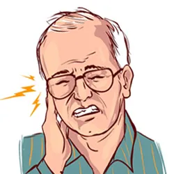 Facial Structure Diagram